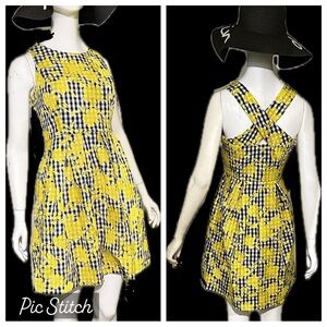 1901: Embroidered Gingham Dress